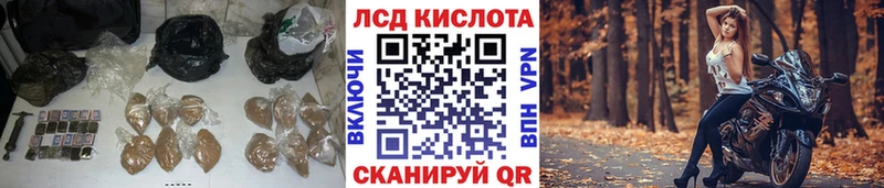 где купить наркотик  Владикавказ  Лсд 25 экстази ecstasy 