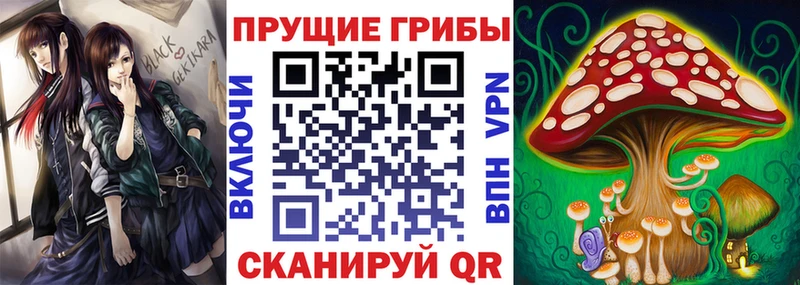 где купить наркоту  Владикавказ  Псилоцибиновые грибы мицелий 