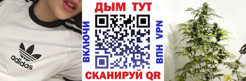 Конопля Amnesia  хочу   Владикавказ 